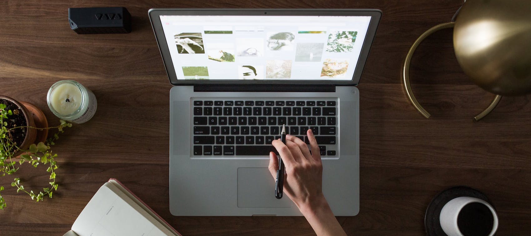 Mackenzie Holtermann T